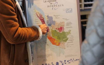 Why Bordeaux Wine Vacations?