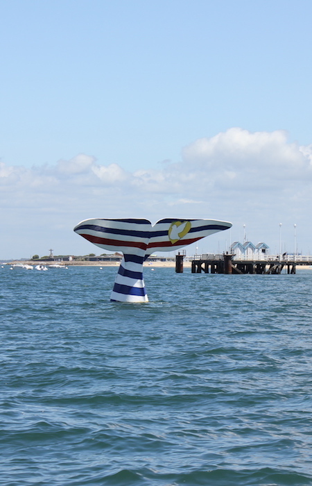 day trip to arcachon bay france