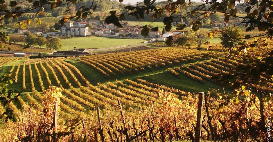 Cognac day trip from Bordeaux