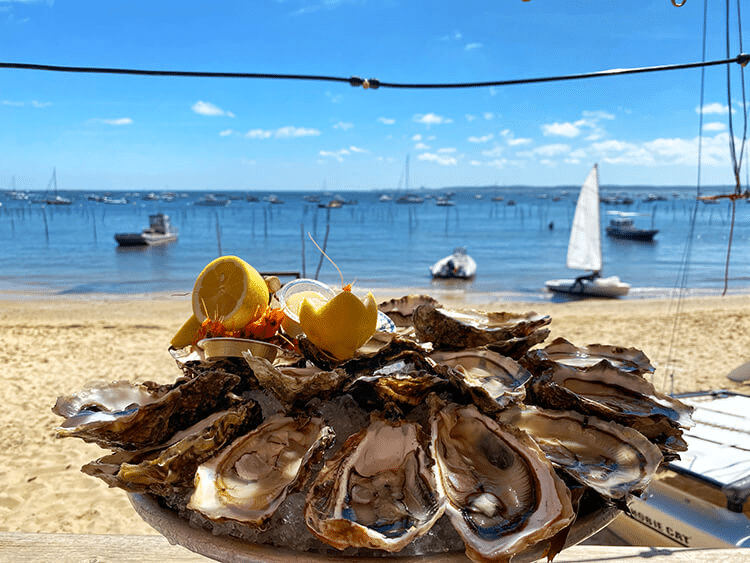 Fresh oysters at a Cap Ferret oyster shack, Arcachon in autumn.