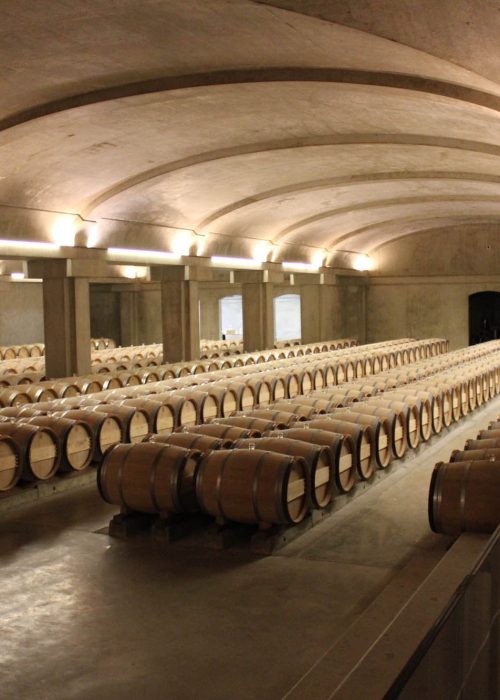 Bordeaux Wine Cellar Tour