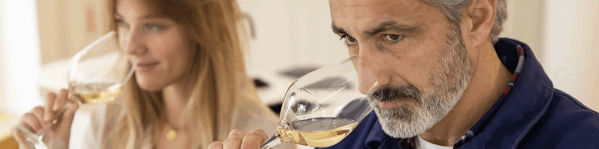 Bordeaux Wine Masterclass Experience