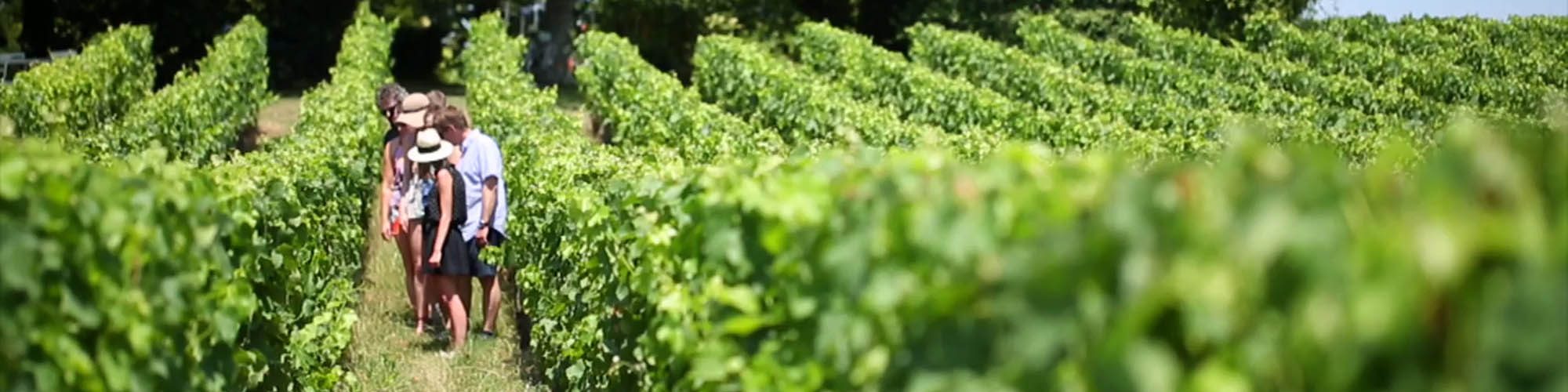 Bordeaux Wine Vacations Travel