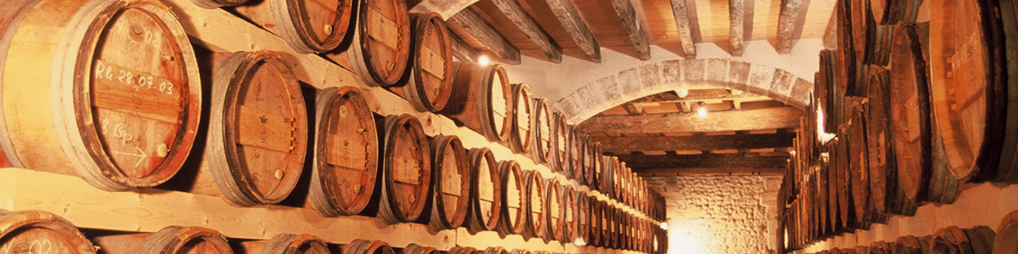 Bourg Wine Day Trip Bordeaux