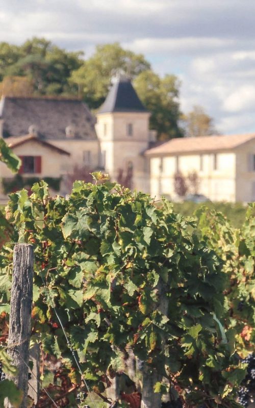 Chateaux Chambrun Wine