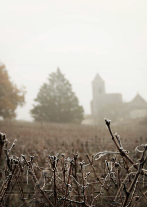 St-Emilion-Bordeaux-Winter
