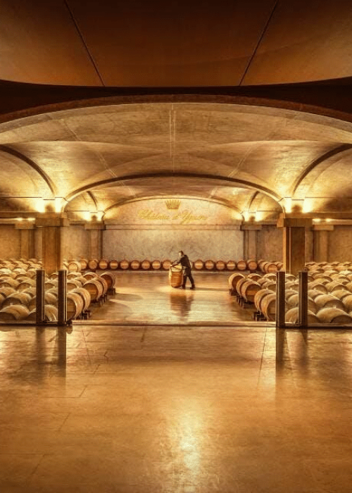 Château Yquem Barrel Room